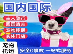 大庆机场邮寄国际宠物托运 【国